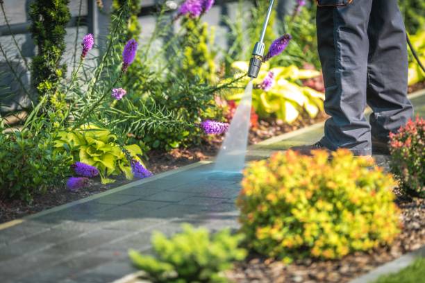 Best Sidewalk and Walkway Cleaning  in Cedar Grove, WI