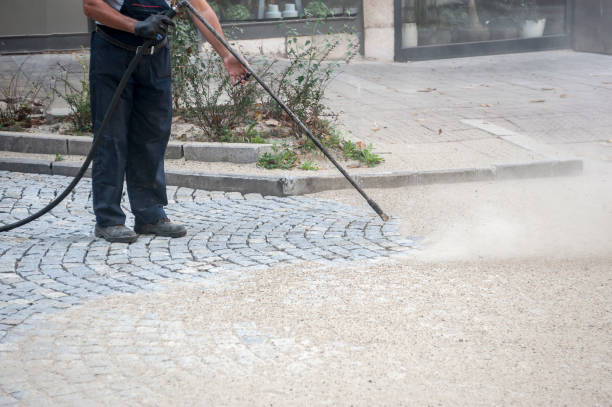 Best Roof Washing  in Cedar Grove, WI