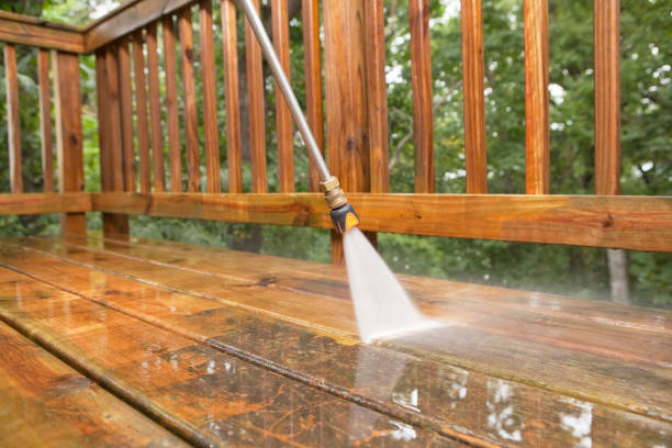 Best Spring Cleaning  in Cedar Grove, WI